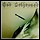 God Dethroned - The Toxic Touch - 9 Punkte