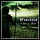 Excelsis - Vo Chrieger U Drache Excelsis - Vo Chrieger U Drache