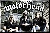 Lemmy hat's am Herz