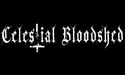 Celestial Bloodshed