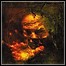 Ashent - Flaws Of Elation - 5,75 Punkte (2 Reviews)