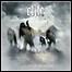 Elite - We Own The Mountains - 8 Punkte