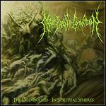 Near Death Condition - The Disembodied - In Spiritual Spheres