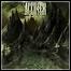 Accu§er - The Forlorn Divide - 8 Punkte Accu§er - The Forlorn Divide - 8 Punkte