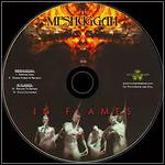 In Flames / Meshuggah - Nothing / Reroute To Remain (Single)