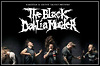 THE BLACK DAHLIA MURDER machen den Kalender voll THE BLACK DAHLIA MURDER machen den Kalender voll