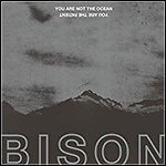 Bison - You Are Not The Ocean You Are The Patient