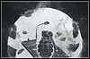 Folgt CRIPPER zum nächsten Album Folgt CRIPPER zum nächsten Album