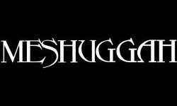 Meshuggah