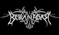Borknagar Borknagar
