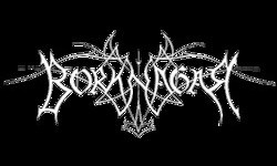 Borknagar