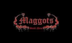 Maggots