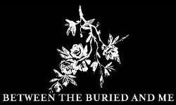 Between The Buried And Me