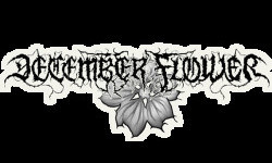 December Flower December Flower