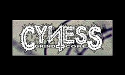 Cyness Cyness