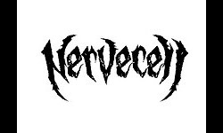 Nervecell