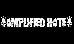 Amplified Hate