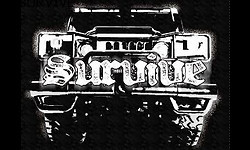 Survive Survive