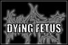 Dying Fetus