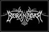 Borknagar