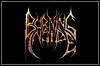 Burning Inside Burning Inside