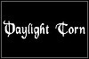 Daylight Torn Daylight Torn