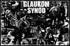 Glaukom Synod