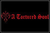 A Tortured Soul A Tortured Soul
