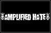 Amplified Hate