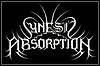 Synesis Absorption Synesis Absorption