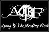 Agony Of The Bleeding Flesh Agony Of The Bleeding Flesh