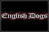 English Dogs English Dogs