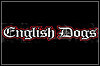 English Dogs