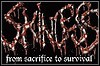 Interview mit Skinless Interview mit Skinless