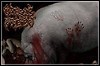 Interview mit Grotesque Impalement Interview mit Grotesque Impalement