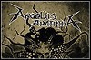 Interview mit Angelus Apatrida