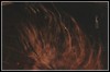 Vader, Septicflesh, Devian und Inactive Messiah - 25.05.2008 - Darmstadt, Steinbruch Theater Vader, Septicflesh, Devian und Inactive Messiah - 25.05.2008 - Darmstadt, Steinbruch Theater