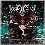 Borknagar - Empiricism - 10 Punkte