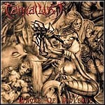 Carnal Lust - Whore Of Violence Carnal Lust - Whore Of Violence