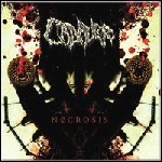 Cadaver - Necrosis - 8 Punkte