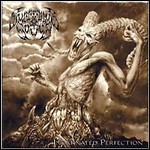 Suffering Souls - Incarnated Perfection