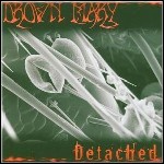 Drown Mary - Detached Drown Mary - Detached
