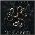 Meshuggah - Catch Thirtythree