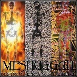 Meshuggah - Destroy Erase Improve