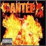 Pantera - Reinventing The Steel