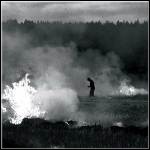 Northern Discipline - Burn-Beaten Soil - 7 Punkte