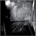 Comity - ...As Everything Is A Tragedy Comity - ...As Everything Is A Tragedy
