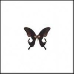 7 Times Suicide - The Butterfly Factory (EP) - 6 Punkte
