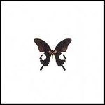 7 Times Suicide - The Butterfly Factory (EP) 7 Times Suicide - The Butterfly Factory (EP)