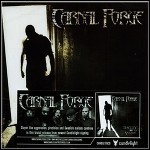 Carnal Forge - Testify For My Victims - 7 Punkte